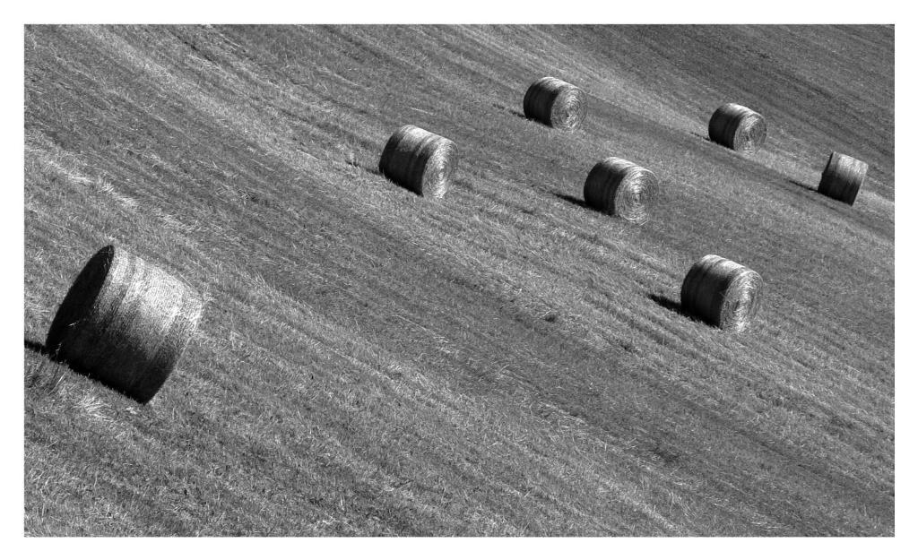 Il Vignolino Barberino di Mugello Exterior foto